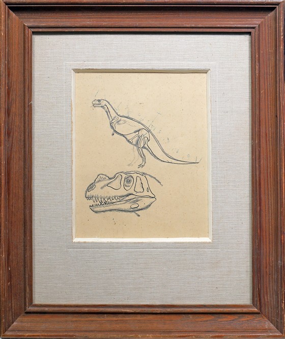 Rekonstrukce dinosauří kostry