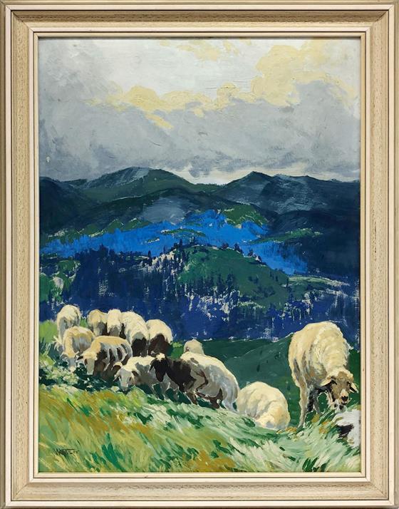 Pastva ovcí 